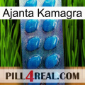 Ajanta Kamagra viagra1